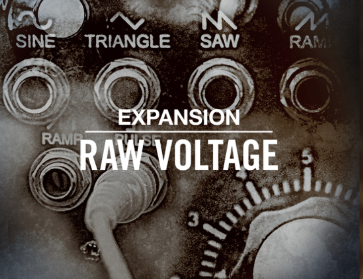 Native Instruments Raw Voltage Maschine Expansion